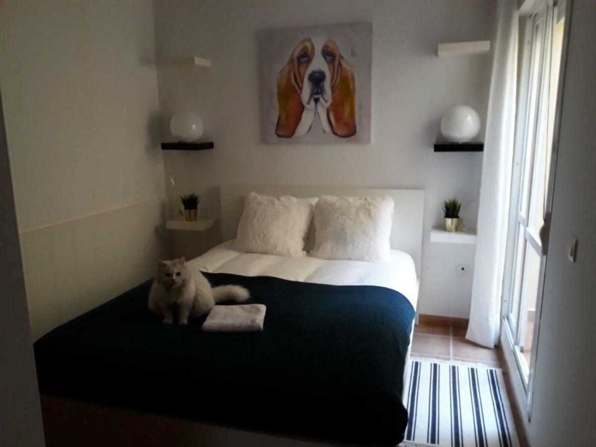 Apartamento Pedregalejo Apartament Malaga